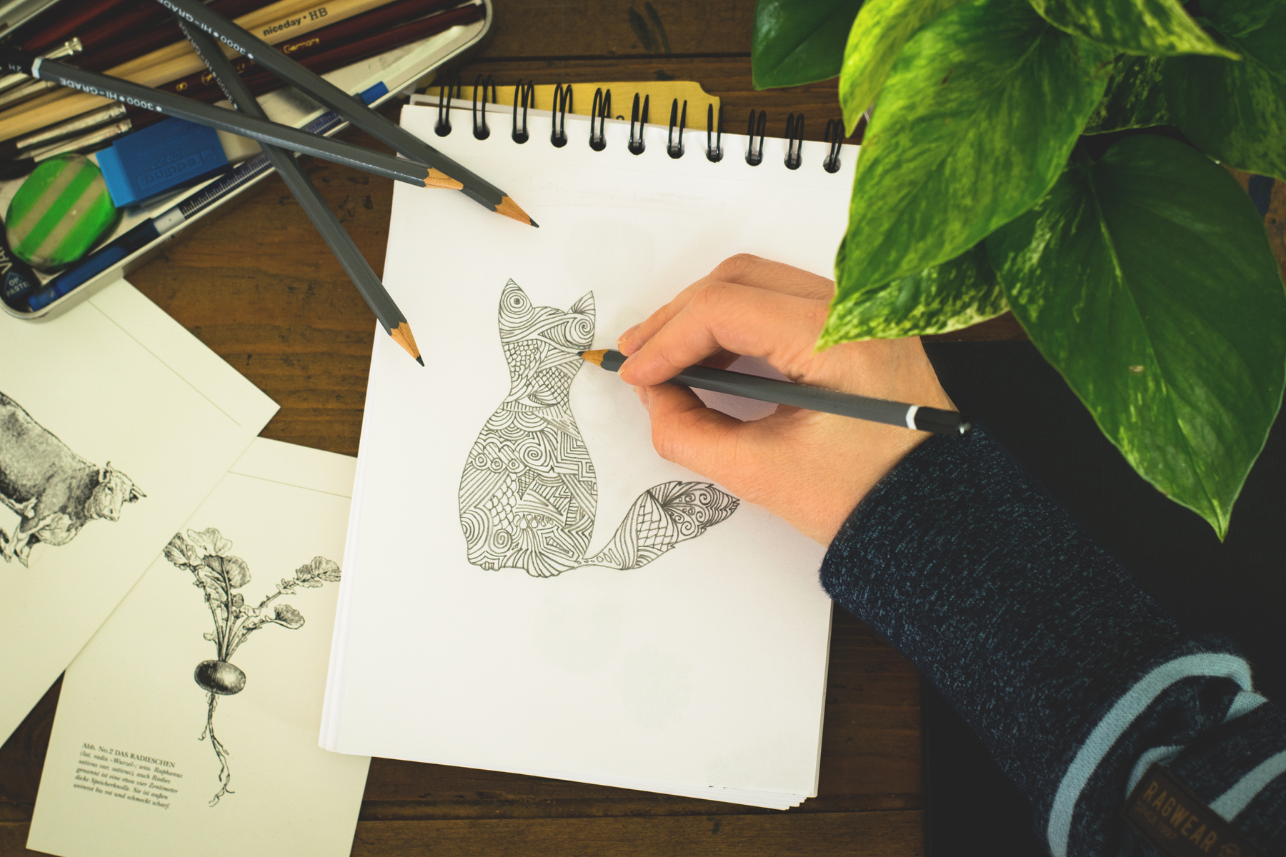 Person Sketching Cat